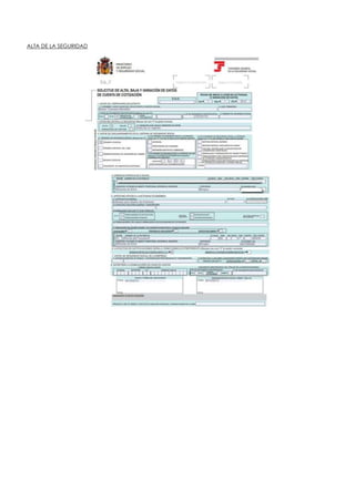 ALTA DE LA SEGURIDAD
 