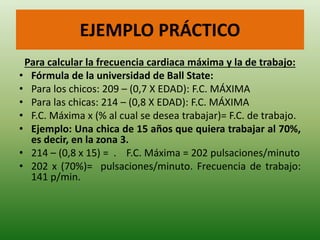 EJEMPLO PRÁCTICO
Para calcular la frecuencia cardiaca máxima y la de trabajo:
• Fórmula de la universidad de Ball State:
• Para los chicos: 209 – (0,7 X EDAD): F.C. MÁXIMA
• Para las chicas: 214 – (0,8 X EDAD): F.C. MÁXIMA
• F.C. Máxima x (% al cual se desea trabajar)= F.C. de trabajo.
• Ejemplo: Una chica de 15 años que quiera trabajar al 70%,
es decir, en la zona 3.
• 214 – (0,8 x 15) = . F.C. Máxima = 202 pulsaciones/minuto
• 202 x (70%)= pulsaciones/minuto. Frecuencia de trabajo:
141 p/min.
 