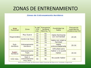 ZONAS DE ENTRENAMIENTO
 