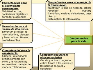 Competencias para                 Competencias para el manejo de
el aprendizaje                    la información.
permanente.                       Identificar lo que se necesita saber;
Habilidad lectora,                Aprender            a          buscar;
habilidades digitales y           Identificar, evaluar, seleccionar, orga
aprender a aprender.              nizar y
                                  Sistematizar la información.


Competencias para el
manejo de situaciones.
Enfrentar el riesgo, la
incertidumbre, plantear
y llevar a buen término                                Competencias
procedimientos.                                         para la vida


Competencias para la
convivencia.
                            Competencias para la
Empatía, relacionarse
                            vida en sociedad.
armónicamente con
                            Decidir y actuar con juicio
otros y la naturaleza;
                            crítico frente a los valores y
ser asertivo; trabajar de
                            las normas sociales y
manera colaborativa.
                            culturales.
 