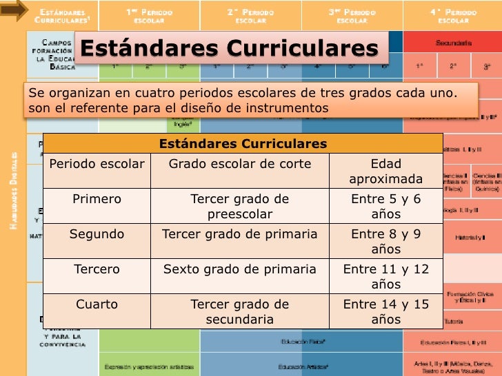 Plan de estudios 2011