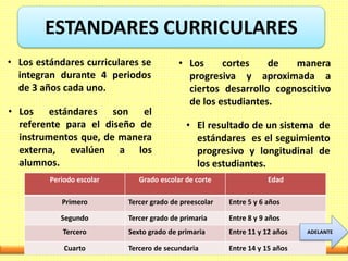 ESTANDARES CURRICULARES
• Los estándares curriculares se
integran durante 4 periodos
de 3 años cada uno.
• Los cortes de manera
progresiva y aproximada a
ciertos desarrollo cognoscitivo
de los estudiantes.
• Los estándares son el
referente para el diseño de
instrumentos que, de manera
externa, evalúen a los
alumnos.
• El resultado de un sistema de
estándares es el seguimiento
progresivo y longitudinal de
los estudiantes.
Periodo escolar Grado escolar de corte Edad
Primero Tercer grado de preescolar Entre 5 y 6 años
Segundo Tercer grado de primaria Entre 8 y 9 años
Tercero Sexto grado de primaria Entre 11 y 12 años
Cuarto Tercero de secundaria Entre 14 y 15 años
ADELANTE
 