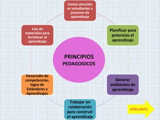 Centra atención
en estudiantes y
procesos de
aprendizaje
Planificar para
potencias el
aprendizaje
Generar
ambientes de
aprendizaje
Trabajar en
colaboración
para construir
el aprendizaje
Desarrollo de
competencias,
logro de
Estándares y
Aprendizajes
Uso de
materiales para
fortalecer el
aprendizaje
PRINCIPIOS
PEDAGOGICOS
ADELANTE
 