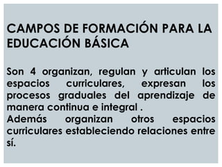 CAMPOS DE FORMACIÓN PARA LA
EDUCACIÓN BÁSICA
Son 4 organizan, regulan y articulan los
espacios curriculares, expresan los
procesos graduales del aprendizaje de
manera continua e integral .
Además organizan otros espacios
curriculares estableciendo relaciones entre
sí.
 