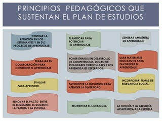 PRINCIPIOS PEDAGÓGICOS QUE
SUSTENTAN EL PLAN DE ESTUDIOS
CENTRAR LA
ATENCIÓN EN LOS
ESTUDIANTES Y EN SUS
PROCESOS DE APRENDIZAJE
PLANIFICAR PARA
POTENCIAR
EL APRENDIZAJE
GENERAR AMBIENTES
DE APRENDIZAJE
TRABAJAR EN
COLABORACIÓN PARA
CONSTRUIR EL APRENDIZAJE
PONER ÉNFASIS EN DESARROLLO
DE COMPETENCIAS, LOGRO DE
ÉSTANDARES CURRICULARES Y LOS
APRENDIZAJES ESPERADOS.
USAR MATERIALES
EDUCATIVOS PARA
FAVORECER EL
APRENDIZAJE.
EVALUAR
PARA APRENDER.
FAVORECER LA INCLUSIÓN PARA
ATENDER LA DIVERSIDAD.
INCORPORAR TEMAS DE
RELEVANCIA SOCIAL.
RENOVAR EL PACTO ENTRE
EL ESTUDIANTE, EL DOCENTE,
LA FAMILIA Y LA ESCUELA.
REORIENTAR EL LIDERAZGO. LA TUTORÍA Y LA ASESORÍA
ACADÉMICA A LA ESCUELA
 