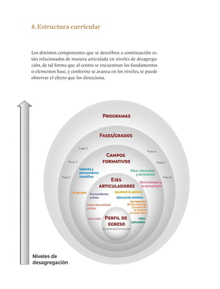 102
8.Estructura curricular
Los distintos componentes que se describen a continuación es-
tán relacionados de manera articulada en niveles de desagrega-
ción, de tal forma que al centro se encuentran los fundamentos
o elementos base, y conforme se avanza en los niveles, se puede
observar el efecto que los direcciona.
 