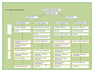 Plan De Estudios Ienss