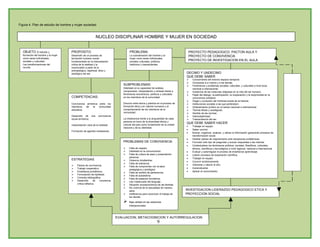 Plan De Estudios Ienss