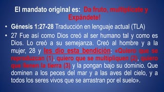 El mandato original es: Da fruto, multiplícate y 
Expándete! 
• Génesis 1:27-28 Traducción en lenguaje actual (TLA) 
• 27 Fue así como Dios creó al ser humano tal y como es 
Dios. Lo creó a su semejanza. Creó al hombre y a la 
mujer, 28 y les dio esta bendición: «Quiero que se 
reproduzcan (1), quiero que se multipliquen (2), quiero 
que llenen la tierra (3) y la pongan bajo su dominio. Que 
dominen a los peces del mar y a las aves del cielo, y a 
todos los seres vivos que se arrastran por el suelo». 
 