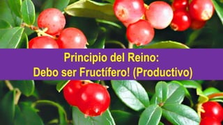 Principio del Reino: 
Debo ser Fructífero! (Productivo) 
 