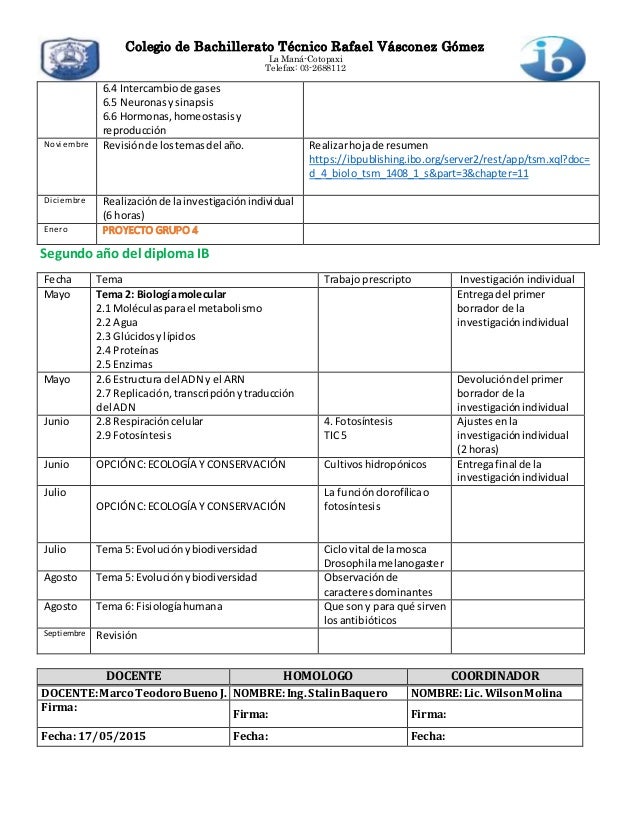 Evaluación Interna Matemáticas Nm Ib Ejemplos