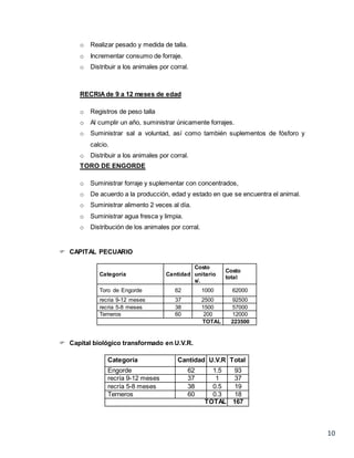 10
o Realizar pesado y medida de talla.
o Incrementar consumo de forraje.
o Distribuir a los animales por corral.
RECRIA de 9 a 12 meses de edad
o Registros de peso talla
o Al cumplir un año, suministrar únicamente forrajes.
o Suministrar sal a voluntad, así como también suplementos de fósforo y
calcio.
o Distribuir a los animales por corral.
TORO DE ENGORDE
o Suministrar forraje y suplementar con concentrados,
o De acuerdo a la producción, edad y estado en que se encuentra el animal.
o Suministrar alimento 2 veces al día.
o Suministrar agua fresca y limpia.
o Distribución de los animales por corral.
 CAPITAL PECUARIO
Categoría Cantidad
Costo
unitario
s/.
Costo
total
Toro de Engorde 62 1000 62000
recria 9-12 meses 37 2500 92500
recria 5-8 meses 38 1500 57000
Terneros 60 200 12000
TOTAL 223500
 Capital biológico transformado en U.V.R.
Categoría Cantidad U.V.R Total
Engorde 62 1.5 93
recría 9-12 meses 37 1 37
recría 5-8 meses 38 0.5 19
Terneros 60 0.3 18
TOTAL 167
 
