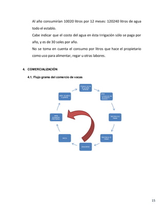 15
Al año consumirían 10020 litros por 12 meses: 120240 litros de agua
todo el establo.
Cabe indicar que el costo del agua en ésta Irrigación sólo se paga por
año, y es de 30 soles por año.
No se toma en cuenta el consumo por litros que hace el propietario
como uso para alimentar, regar u otras labores.
4. COMERCIALIZACIÓN
4.1. Flujo grama del comercio de vacas
Compra la cria
de granjas
lecheras
CRIA
• compra las crias
de establos
lecheros
RECRIA 5-8
meses
RECRIA 9-12
meses
ENGORDE
SACA
venta
proveedres
intermedios.
venta al publico
e general
 