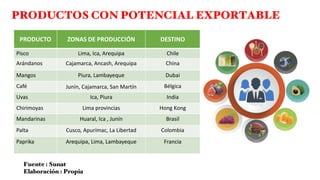 PRODUCTOS CON POTENCIAL EXPORTABLE
PRODUCTO ZONAS DE PRODUCCIÓN DESTINO
Pisco Lima, Ica, Arequipa Chile
Arándanos Cajamarca, Ancash, Arequipa China
Mangos Piura, Lambayeque Dubai
Café Junín, Cajamarca, San Martín Bélgica
Uvas Ica, Piura India
Chirimoyas Lima provincias Hong Kong
Mandarinas Huaral, Ica , Junín Brasil
Palta Cusco, Apurímac, La Libertad Colombia
Paprika Arequipa, Lima, Lambayeque Francia
Fuente : Sunat
Elaboración : Propia
 