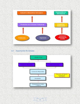 1.6   Exportación De Lúcuma




                              10
 