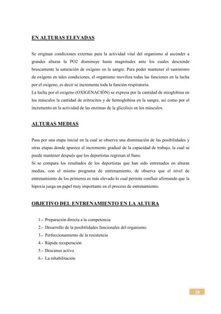28
EN ALTURAS ELEVADAS
Se originan condiciones externas para la actividad vital del organismo al ascender a
grandes alturas la PO2 disminuye hasta magnitudes ante los cuales desciende
bruscamente la saturación de oxígeno en la sangre. Para poder mantener el suministro
de oxígeno en tales condiciones, el organismo moviliza todas las funciones en la lucha
por el oxígeno, es decir se incrementa toda la función respiratoria.
La lucha por el oxígeno (OXIGENACIÓN) se expresa por la cantidad de mioglobina en
los músculos la cantidad de eritrocitos y de hemoglobina en la sangre, así como por el
incremento en la actividad de las enzimas de la glicolisis en los músculos.
ALTURAS MEDIAS
Pasa por una etapa inicial en la cual se observa una disminución de las posibilidades y
otras etapas donde aparece el incremento gradual de la capacidad de trabajo, la cual se
puede mantener después que los deportistas regresan al llano.
Si se compara los resultados de los deportistas que han sido entrenados en alturas
medias, con el mismo programa de entrenamiento, de observa que el nivel de
entrenamiento de los primeros es más elevado lo cual permite confluir afirmando que la
hipoxia juega un papel muy importante en el proceso de entrenamiento.
OBJETIVO DEL ENTRENAMIENTO EN LA ALTURA
1.- Preparación directa a la competencia
2.- Desarrollo de la posibilidades funcionales del organismo
3.- Perfeccionamiento de la resistencia
4.- Rápida recuperación
5.- Descanso activo
6.- La rehabilitación
 