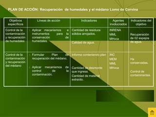 PLAN DE ACCIÓN: Recuperación de humedales y el médano Lomo de Corvina 
Objetivos 
específicos 
Líneas de acción Indicadores Agentes 
involucrados 
Indicadores del 
objetivo 
Control de la 
contaminación 
y recuperación 
de humedales 
1. Aplicar mecanismos e 
instrumentos para la 
conservación de 
humedales. 
Cantidad de residuos 
sólidos arrojados. 
Calidad de agua. 
INRENA 
MML 
MHvca 
Recuperación 
de 02 espejos 
de agua. 
Control de la 
contaminación 
y recuperación 
del médano 
1. Formular Plan de 
recuperación del médano. 
2. Aplicar mecanismos de 
control de la 
contaminación. 
Informe conteniendo plan 
Cantidad de desmonte 
que ingresa. 
Cantidad de material 
extraído. 
INC 
MEM 
MML 
MHvca 
Ha 
conservadas. 
Control de 
contaminantes. 
 