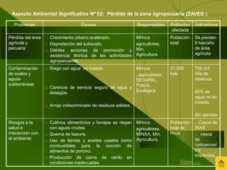 Aspecto Ambiental Significativo Nº 02: Pérdida de la zona agropecuaria (ZAVES ) 
Problemas Causas Responsables Población 
afectada 
Indicadores 
Pérdida del área 
agrícola y 
pecuaria 
1. Crecimiento urbano acelerado. 
2. Depredación del subsuelo. 
3. Débiles acciones de promoción y 
asistencia técnica de las actividades 
agropecuarias. 
MHvca 
agricultores, 
Min. 
Agricultura 
Población 
total 
Se pierden 
9 has/año 
de área 
agrícola 
Contaminación 
de suelos y 
aguas 
subterráneas 
1. Riego con agua no tratada. 
2. Carencia de servicio seguro de agua y 
desagüe. 
3. Arrojo indiscriminado de residuos sólidos. 
MHvca 
, agricultores, 
SEDAPAL, 
Policía 
Ecológica. 
21,500 
hab 
750 m3 
/día de 
residuos. 
60% de 
agua no es 
tratada. 
Sin servicio 
Riesgos a la 
salud e 
interacción con 
el ambiente 
1. Cultivos alimenticios y forrajes se riegan 
con aguas crudas. 
2. Quema de basura. 
3. Uso de llantas y aceites usados como 
combustibles para la cocción de 
alimentos de porcino. 
4. Producción de carne de cerdo en 
condiciones inadecuadas 
MHvca 
agricultores, 
MINSA, Min. 
Agricultura. 
Población 
total de 
Hvca 
.. Casos de 
IRAS 
… casos 
de 
cisticercosí 
s y 
triquinosis 
Sigue..... 
 