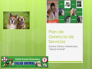 Plan de
Gerencia de
Servicios
Centro Clínico Veterinario
“Salud Animal”
 