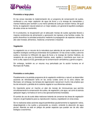 Pronóstico a largo plazo
En las zonas naturales la implementación de un programa de conservación de suelos,
conllevará a una mejor captación de agua de lluvia y a la recarga de manantiales y
mantos freáticos pero también a una menor pérdida de suelo por erosión hídrica. De igual
forma, la vegetación natural estará en un mejor estado y en general el equilibrio ecológico
de estas zonas se mantendrá.
En lo productivo, la recuperación por el adecuado manejo de suelos agrícolas llevará a
mejores condiciones de alimentación y generación de ingresos a las familias rurales. Se
podrá diversificar la actividad productiva mediante la propagación de especies nativas de
alto valor forestal, alimenticio, medicinal, ornamental o industrial.
Vegetación
La vegetación es un recurso de la naturaleza que además de ser parte importante en el
equilibrio ecológico contribuye al bienestar de la población. En las zonas rurales, cubre los
suelos y favorece la infiltración de agua de lluvia y la recarga de mantos freáticos, es
receptora de una gran la diversidad insectos, aves, reptiles y mamíferos que viven en
torno a ella; captura el CO2 generado por la contaminación atmosférica y genera oxígeno.
Sin embargo, también es un recurso muy perturbado por la acción humana en el
Municipio de Puebla.
Pronóstico a corto plazo.
Paralelamente a la pérdida progresiva de la vegetación endémica y natural, se desarrollan
acciones de reforestación tanto en las zonas rurales como en la zona urbana del
Municipio; sin embargo, los tiempos de regeneración natural son mucho más amplios que
los de extracción y pérdida de la cubierta vegetal en sus diferentes estratos.
Es importante poner en marcha un plan de manejo de microcuencas que permita
simultáneamente la conservación de suelos, de vegetación y de agua, así como la estricta
aplicación legal y normativa en torno a los aprovechamientos forestales.
El cambio de uso de suelo debe realizarse tratando de conservar las áreas de vegetación
natural o el germoplasma para su reproducción masiva y repoblación en otras áreas.
De no realizarse estas acciones seguirá perdiéndose paulatinamente la vegetación nativa,
desprotegiendo a los suelos y provocando su erosión, evitando la absorción de agua
pluvial. Además se está en peligro de perder especies que puedan ser de alto valor
biológico o económico.
 