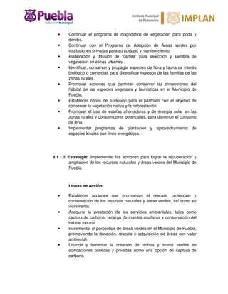 • Continuar el programa de diagnóstico de vegetación para poda y
derribo.
• Continuar con el Programa de Adopción de Áreas verdes por
instituciones privadas para su cuidado y mantenimiento.
• Elaboración y difusión de “cartilla” para selección y siembra de
vegetación en zonas urbanas.
• Identificar, conservar y propagar especies de flora y fauna de interés
biológico o comercial, para diversificar ingresos de las familias de las
zonas rurales.
• Promover acciones que permitan conservar las dimensiones del
hábitat de las especies vegetales y faunísticas en el Municipio de
Puebla.
• Establecer zonas de exclusión para el pastoreo con el objetivo de
conservar la vegetación nativa y la reforestación.
• Promover el uso de estufas ahorradoras y de energía solar en las
zonas rurales y consumidores potenciales, para disminuir el consumo
de leña.
• Implementar programas de plantación y aprovechamiento de
especies locales con fines energéticos.
8.1.1.2 Estrategia: Implementar las acciones para lograr la recuperación y
ampliación de los recursos naturales y áreas verdes del Municipio de
Puebla.
Líneas de Acción:
• Establecer acciones que promuevan el rescate, protección y
conservación de los recursos naturales y áreas verdes, así como su
incremento.
• Asegurar la prestación de los servicios ambientales, tales como
captura de carbono, recarga de mantos acuíferos y conservación del
hábitat natural.
• Incrementar el porcentaje de áreas verdes en el Municipio de Puebla,
promoviendo la donación, rescate o adquisición de áreas con valor
ambiental.
• Difundir y fomentar la creación de techos y muros verdes en
edificaciones públicas y privadas como una opción de captura de
carbono.
 