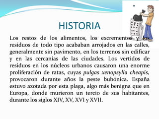 HISTORIALos restos de los alimentos, los excrementos y los residuos de todo tipo acababan arrojados en las calles, generalmente sin pavimento, en los terrenos sin edificar y en las cercanías de las ciudades. Los vertidos de residuos en los núcleos urbanos causaron una enorme proliferación de ratas, cuyas pulgas xenopsylla cheapis, provocaron durante años la peste bubónica. España estuvo azotada por esta plaga, algo más benigna que en Europa, donde murieron un tercio de sus habitantes, durante los siglos XIV, XV, XVI y XVII.
