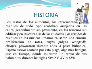 HISTORIALos restos de los alimentos, los excrementos y los residuos de todo tipo acababan arrojados en las calles, generalmente sin pavimento, en los terrenos sin edificar y en las cercanías de las ciudades. Los vertidos de residuos en los núcleos urbanos causaron una enorme proliferación de ratas, cuyas pulgas xenopsylla cheapis, provocaron durante años la peste bubónica. España estuvo azotada por esta plaga, algo más benigna que en Europa, donde murieron un tercio de sus habitantes, durante los siglos XIV, XV, XVI y XVII.