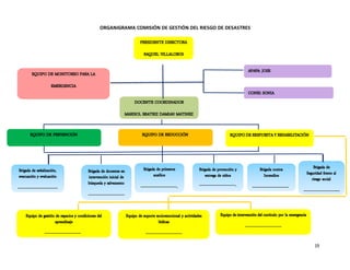 19
ORGANIGRAMA COMISIÓN DE GESTIÓN DEL RIESGO DE DESASTRES
 
