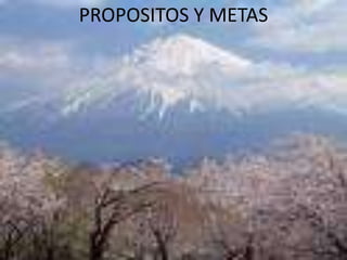PROPOSITOS Y METAS