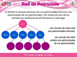 Red de Patrocinio
Es donde se muestra quienes son sus patrocinados directos y los
patrocinados de sus patrocinados. Por medio de esta red se
calculan sus retribuciones de Patrocinio y Liderazgo.
Usted
Ana Pedro Juan JoséMaría
Los círculos de color azul
son patrocinados directos.
Los círculos de color
violeta son patrocinados
de sus patrocinados.
 