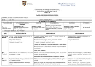 PLAN DE INTERVENCION INDIVIDUAL PARA ADULTOS MAYORES | PDF