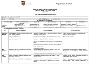 PLAN DE INTERVENCION INDIVIDUAL PARA ADULTOS MAYORES | PDF