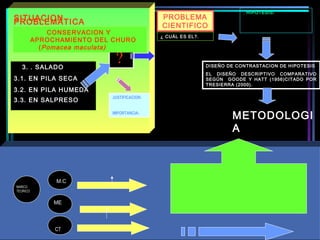 ?
SITUACIONPROBLEMÁTICA
MARCO
TEORICO
CT
M.C
ME
JUSTIFICACION:
IMPORTANCIA:
PROBLEMA
CIENTIFICO
¿ CUÁL ES EL?.
. HIPOTESIS:
DISEÑO DE CONTRASTACION DE HIPOTESIS
EL DISEÑO DESCRIPTIVO COMPARATIVO
SEGÚN GOODE Y HATT (1956)CITADO POR
TRESIERRA (2000).  
METODOLOGI
A
CONSERVACION Y
APROCHAMIENTO DEL CHURO
(Pomacea maculata)
3. . SALADO
3.1. EN PILA SECA
3.2. EN PILA HUMEDA
3.3. EN SALPRESO
 