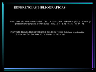 REFERENCIAS BIBLIOGRAFICAS
INSTITUTO DE INVESTIGACIONES DE5 LA AMAZONIA PERUANA (2000).. Cultivo y
procesamiento del Churo. © IIAP. Iquitos – Perú. p. 1 – 2, 13 –18, 35 – 38, 47 – 48.
 
INSTITUTO TECNOLÓGICO PESQUERO DEL PERÚ (1994 ). Boletín de Investigación.
Bol. Inv. Ins. Tec. Pes. Vol 4 Nº 1 –. Callao. pp. 183 – 190.
 