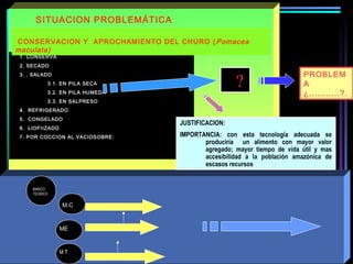 ?
SITUACION PROBLEMÁTICA
1. CONSERVA
2. SECADO
3. . SALADO
3.1. EN PILA SECA
3.2. EN PILA HUMEDA
3.3. EN SALPRESO
4. REFRIGERADO
5. CONGELADO
6. LIOFIIZADO
7. POR COCCION AL VACIOSOBRE:
MARCO
TEORICO
M T
M.C
ME
CONSERVACION Y APROCHAMIENTO DEL CHURO (Pomacea
maculata)
JUSTIFICACION:
IMPORTANCIA: con esta tecnología adecuada se
produciría un alimento con mayor valor
agregado; mayor tiempo de vida útil y mas
accesibilidad a la población amazónica de
escasos recursos
PROBLEM
A
¿...........?.
 