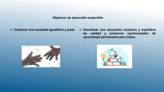 Objetivos de desarrollo sostenible.
 Construir una sociedad igualitaria y justa.  Garantizar una educación inclusiva y equitativa
de calidad y promover oportunidades de
aprendizaje permanente para todos.
 