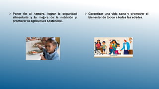  Poner fin al hambre, lograr la seguridad
alimentaria y la mejora de la nutrición y
promover la agricultura sostenible.
 Garantizar una vida sana y promover el
bienestar de todos a todas las edades.
 