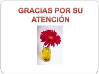 Plan de leccion 2011   2012  dra. maría andrade