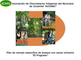 1
Plan de manejo especifico de bosque con cacao silvestre
“El Progreso”
Asociación de Chocolateros Indígenas del Municipio
de Urubichá “ACHIMU”
 