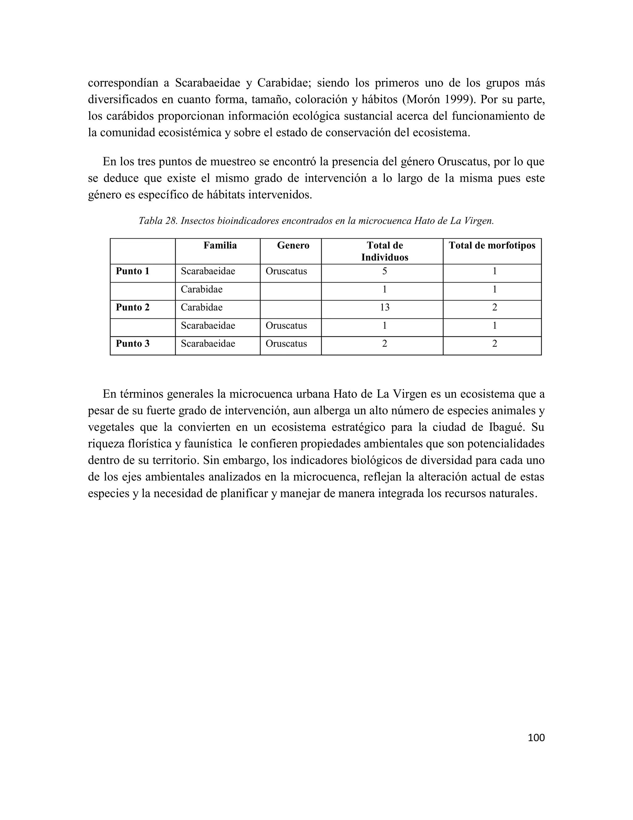 100
correspondían a Scarabaeidae y Carabidae; siendo los primeros uno de los grupos más
diversificados en cuanto forma, tamaño, coloración y hábitos (Morón 1999). Por su parte,
los carábidos proporcionan información ecológica sustancial acerca del funcionamiento de
la comunidad ecosistémica y sobre el estado de conservación del ecosistema.
En los tres puntos de muestreo se encontró la presencia del género Oruscatus, por lo que
se deduce que existe el mismo grado de intervención a lo largo de la misma pues este
género es específico de hábitats intervenidos.
Tabla 28. Insectos bioindicadores encontrados en la microcuenca Hato de La Virgen.
Familia Genero Total de
Individuos
Total de morfotipos
Punto 1 Scarabaeidae Oruscatus 5 1
Carabidae 1 1
Punto 2 Carabidae 13 2
Scarabaeidae Oruscatus 1 1
Punto 3 Scarabaeidae Oruscatus 2 2
En términos generales la microcuenca urbana Hato de La Virgen es un ecosistema que a
pesar de su fuerte grado de intervención, aun alberga un alto número de especies animales y
vegetales que la convierten en un ecosistema estratégico para la ciudad de Ibagué. Su
riqueza florística y faunística le confieren propiedades ambientales que son potencialidades
dentro de su territorio. Sin embargo, los indicadores biológicos de diversidad para cada uno
de los ejes ambientales analizados en la microcuenca, reflejan la alteración actual de estas
especies y la necesidad de planificar y manejar de manera integrada los recursos naturales.
 