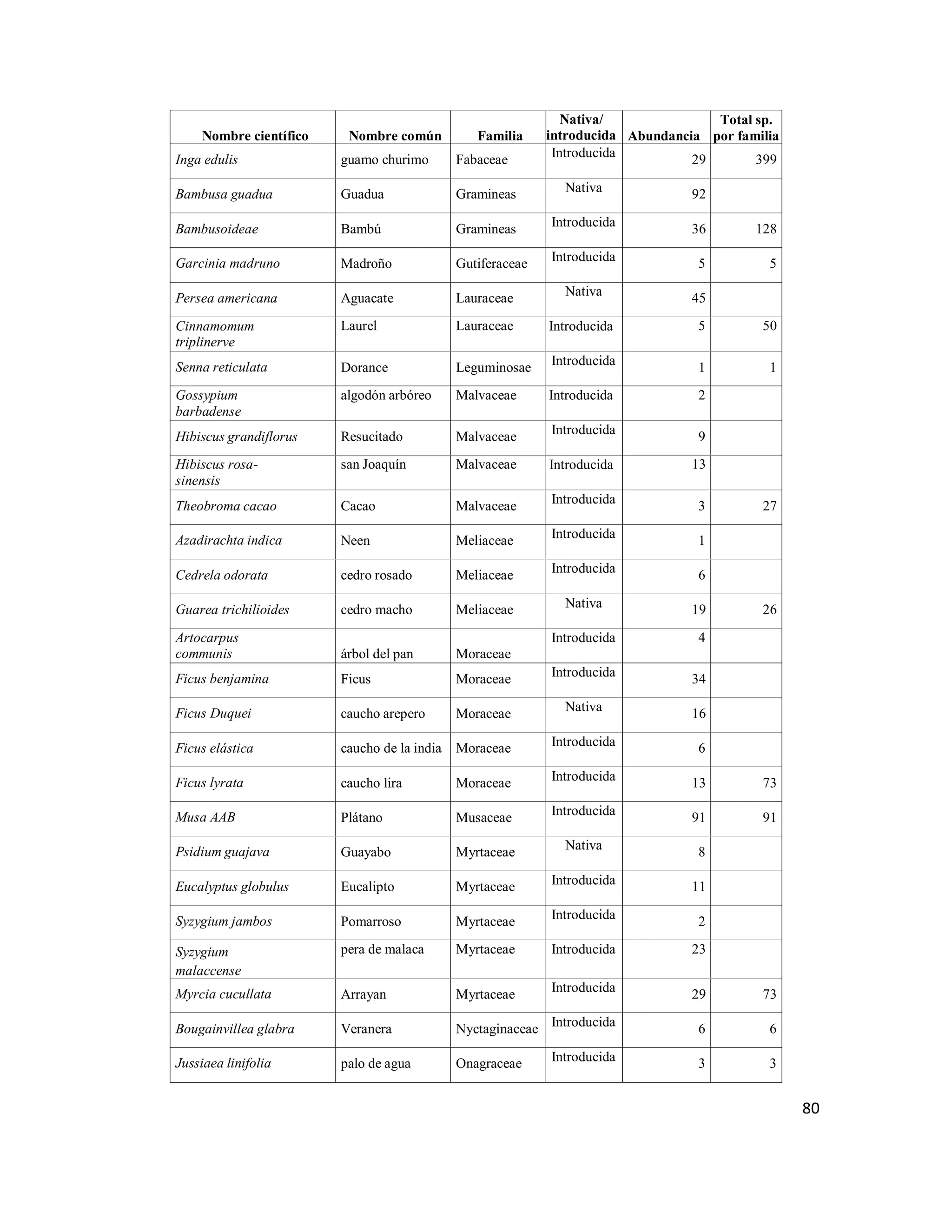 80
Nombre científico Nombre común Familia
Nativa/
introducida Abundancia
Total sp.
por familia
Inga edulis guamo churimo Fabaceae Introducida 29 399
Bambusa guadua Guadua Gramineas Nativa 92
Bambusoideae Bambú Gramineas Introducida 36 128
Garcinia madruno Madroño Gutiferaceae Introducida 5 5
Persea americana Aguacate Lauraceae Nativa 45
Cinnamomum
triplinerve
Laurel Lauraceae Introducida 5 50
Senna reticulata Dorance Leguminosae Introducida 1 1
Gossypium
barbadense
algodón arbóreo Malvaceae Introducida 2
Hibiscus grandiflorus Resucitado Malvaceae Introducida 9
Hibiscus rosa-
sinensis
san Joaquín Malvaceae Introducida 13
Theobroma cacao Cacao Malvaceae Introducida 3 27
Azadirachta indica Neen Meliaceae Introducida 1
Cedrela odorata cedro rosado Meliaceae Introducida 6
Guarea trichilioides cedro macho Meliaceae Nativa 19 26
Artocarpus
communis árbol del pan Moraceae
Introducida 4
Ficus benjamina Ficus Moraceae Introducida 34
Ficus Duquei caucho arepero Moraceae Nativa 16
Ficus elástica caucho de la india Moraceae Introducida 6
Ficus lyrata caucho lira Moraceae Introducida 13 73
Musa AAB Plátano Musaceae Introducida 91 91
Psidium guajava Guayabo Myrtaceae Nativa 8
Eucalyptus globulus Eucalipto Myrtaceae Introducida 11
Syzygium jambos Pomarroso Myrtaceae Introducida 2
Syzygium
malaccense
pera de malaca Myrtaceae Introducida 23
Myrcia cucullata Arrayan Myrtaceae Introducida 29 73
Bougainvillea glabra Veranera Nyctaginaceae Introducida 6 6
Jussiaea linifolia palo de agua Onagraceae Introducida 3 3
 