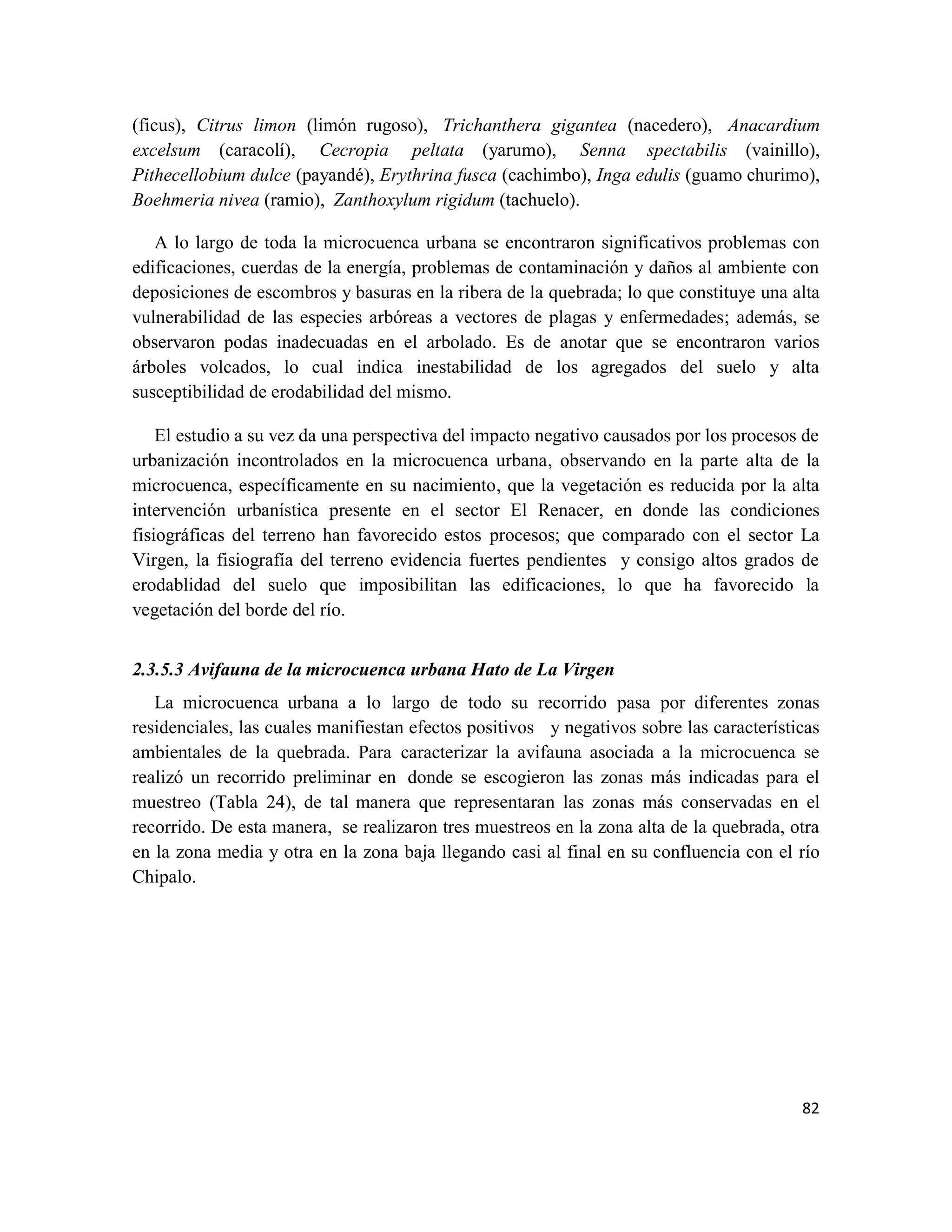 82
(ficus), Citrus limon (limón rugoso), Trichanthera gigantea (nacedero), Anacardium
excelsum (caracolí), Cecropia peltata (yarumo), Senna spectabilis (vainillo),
Pithecellobium dulce (payandé), Erythrina fusca (cachimbo), Inga edulis (guamo churimo),
Boehmeria nivea (ramio), Zanthoxylum rigidum (tachuelo).
A lo largo de toda la microcuenca urbana se encontraron significativos problemas con
edificaciones, cuerdas de la energía, problemas de contaminación y daños al ambiente con
deposiciones de escombros y basuras en la ribera de la quebrada; lo que constituye una alta
vulnerabilidad de las especies arbóreas a vectores de plagas y enfermedades; además, se
observaron podas inadecuadas en el arbolado. Es de anotar que se encontraron varios
árboles volcados, lo cual indica inestabilidad de los agregados del suelo y alta
susceptibilidad de erodabilidad del mismo.
El estudio a su vez da una perspectiva del impacto negativo causados por los procesos de
urbanización incontrolados en la microcuenca urbana, observando en la parte alta de la
microcuenca, específicamente en su nacimiento, que la vegetación es reducida por la alta
intervención urbanística presente en el sector El Renacer, en donde las condiciones
fisiográficas del terreno han favorecido estos procesos; que comparado con el sector La
Virgen, la fisiografía del terreno evidencia fuertes pendientes y consigo altos grados de
erodablidad del suelo que imposibilitan las edificaciones, lo que ha favorecido la
vegetación del borde del río.
2.3.5.3 Avifauna de la microcuenca urbana Hato de La Virgen
La microcuenca urbana a lo largo de todo su recorrido pasa por diferentes zonas
residenciales, las cuales manifiestan efectos positivos y negativos sobre las características
ambientales de la quebrada. Para caracterizar la avifauna asociada a la microcuenca se
realizó un recorrido preliminar en donde se escogieron las zonas más indicadas para el
muestreo (Tabla 24), de tal manera que representaran las zonas más conservadas en el
recorrido. De esta manera, se realizaron tres muestreos en la zona alta de la quebrada, otra
en la zona media y otra en la zona baja llegando casi al final en su confluencia con el río
Chipalo.
 