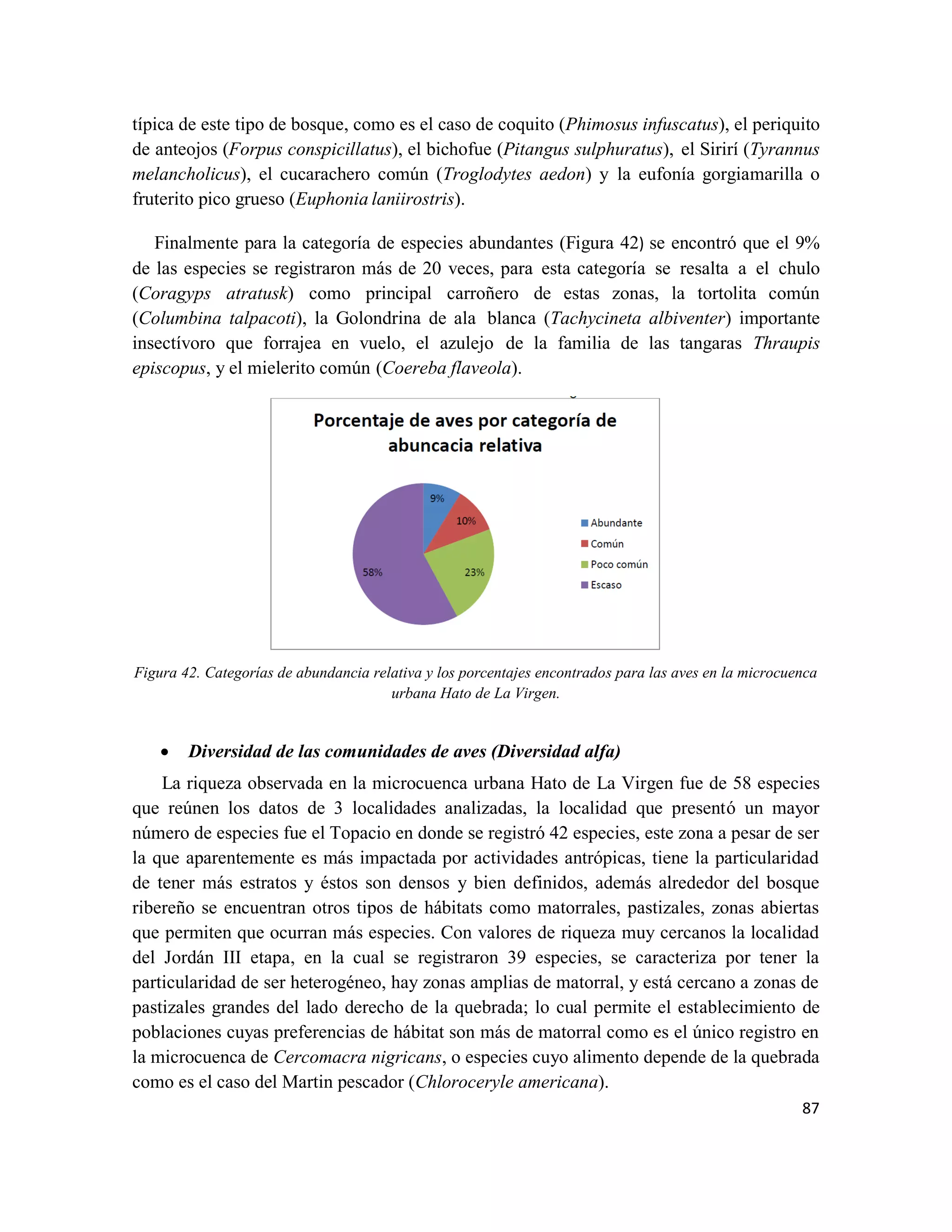 87
típica de este tipo de bosque, como es el caso de coquito (Phimosus infuscatus), el periquito
de anteojos (Forpus conspicillatus), el bichofue (Pitangus sulphuratus), el Sirirí (Tyrannus
melancholicus), el cucarachero común (Troglodytes aedon) y la eufonía gorgiamarilla o
fruterito pico grueso (Euphonia laniirostris).
Finalmente para la categoría de especies abundantes (Figura 42) se encontró que el 9%
de las especies se registraron más de 20 veces, para esta categoría se resalta a el chulo
(Coragyps atratusk) como principal carroñero de estas zonas, la tortolita común
(Columbina talpacoti), la Golondrina de ala blanca (Tachycineta albiventer) importante
insectívoro que forrajea en vuelo, el azulejo de la familia de las tangaras Thraupis
episcopus, y el mielerito común (Coereba flaveola).
Figura 42. Categorías de abundancia relativa y los porcentajes encontrados para las aves en la microcuenca
urbana Hato de La Virgen.
• Diversidad de las comunidades de aves (Diversidad alfa)
La riqueza observada en la microcuenca urbana Hato de La Virgen fue de 58 especies
que reúnen los datos de 3 localidades analizadas, la localidad que presentó un mayor
número de especies fue el Topacio en donde se registró 42 especies, este zona a pesar de ser
la que aparentemente es más impactada por actividades antrópicas, tiene la particularidad
de tener más estratos y éstos son densos y bien definidos, además alrededor del bosque
ribereño se encuentran otros tipos de hábitats como matorrales, pastizales, zonas abiertas
que permiten que ocurran más especies. Con valores de riqueza muy cercanos la localidad
del Jordán III etapa, en la cual se registraron 39 especies, se caracteriza por tener la
particularidad de ser heterogéneo, hay zonas amplias de matorral, y está cercano a zonas de
pastizales grandes del lado derecho de la quebrada; lo cual permite el establecimiento de
poblaciones cuyas preferencias de hábitat son más de matorral como es el único registro en
la microcuenca de Cercomacra nigricans, o especies cuyo alimento depende de la quebrada
como es el caso del Martin pescador (Chloroceryle americana).
 