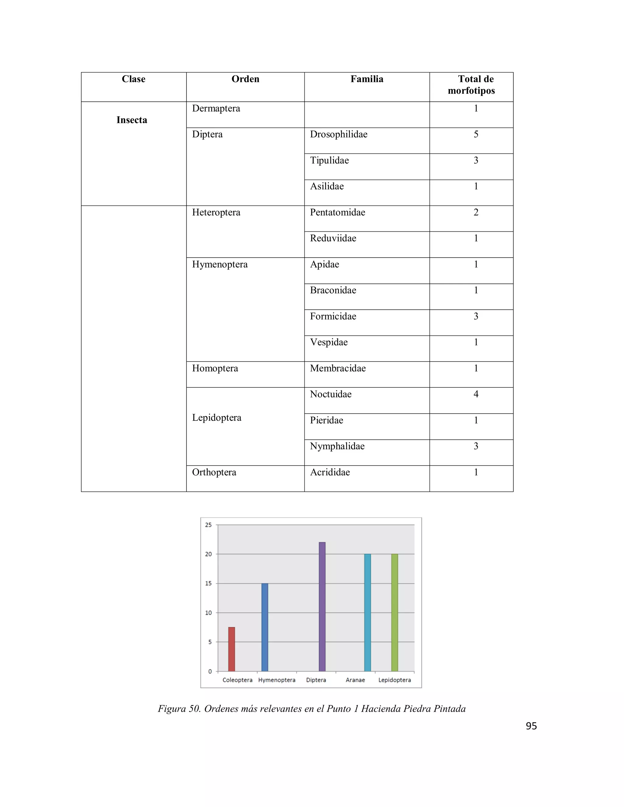 95
Clase Orden Familia Total de
morfotipos
Insecta
Dermaptera 1
Diptera Drosophilidae 5
Tipulidae 3
Asilidae 1
Heteroptera Pentatomidae 2
Reduviidae 1
Hymenoptera Apidae 1
Braconidae 1
Formicidae 3
Vespidae 1
Homoptera Membracidae 1
Lepidoptera
Noctuidae 4
Pieridae 1
Nymphalidae 3
Orthoptera Acrididae 1
Figura 50. Ordenes más relevantes en el Punto 1 Hacienda Piedra Pintada
 