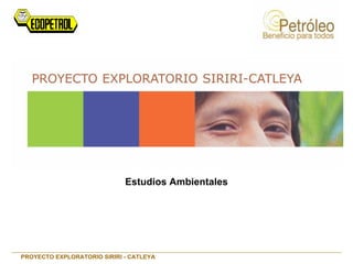 Estudios Ambientales
PROYECTO EXPLORATORIO SIRIRI - CATLEYA
 