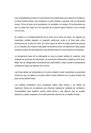 Hay la posibilidad de retirar la fruta pintona de la planta para que madure en la fábrica.
La fruta pintona ofrece más resistencia a sufrir heridas y aguanta más un transporte
brusco. Tal es el caso de la guanábana, la naranjilla o el mango. El inconveniente es
que no todas las frutas una vez retiradas de la planta logran madurar, como sucede
con la mora.


El cuidado en el desprendimiento de la fruta de la rama es crítico. En algunas es
importante cortarla dejando un pequeño pedúnculo unido a la fruta para evitar
pudriciones por el sitio de unión. En otros casos se retira sin dejar pedúnculo porque
es un indicativo de madurez adecuada. Arrancarla pintona con pedúnculo largo puede
propiciar el daño de este apéndice a las demás frutas por roces durante el transporte.


La temperatura baja de la madrugada en que se puede realizar la cosecha, evita
acelerar los procesos de respiración, de prematura maduración y deterioro de la fruta.
Mejor aún es refrigerarlas inmediatamente cosechadas o viajar cuando la temperatura
ambiente es baja, por ejemplo en la noche.


Las frutas deben ser empacadas con mucho cuidado y evitar recipientes muy grandes
donde las que se hallan en la parte inferior sufran deterioro por la sobre presión del
peso de las demás frutas.


Los cestillos empleados como empaques deben estar limpios y ser fáciles de
higienizar. Estos son de plásticos que ofrezcan resistencia, facilidad de ventilación,
ensamblables para apilarlos cuando están llenos y hay algunos que se pueden
desarmar y apilar ocupando una cuarta parte del volumen de un cestillo armado.
 
