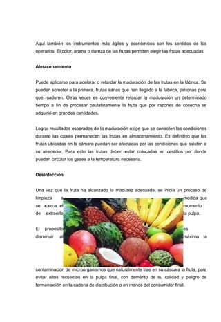 Aquí también los instrumentos más ágiles y económicos son los sentidos de los
operarios. El color, aroma o dureza de las frutas permiten elegir las frutas adecuadas.


Almacenamiento


Puede aplicarse para acelerar o retardar la maduración de las frutas en la fábrica. Se
pueden someter a la primera, frutas sanas que han llegado a la fábrica, pintonas para
que maduren. Otras veces es conveniente retardar la maduración un determinado
tiempo a fin de procesar paulatinamente la fruta que por razones de cosecha se
adquirió en grandes cantidades.


Lograr resultados esperados de la maduración exige que se controlen las condiciones
durante las cuales permanecen las frutas en almacenamiento. Es definitivo que las
frutas ubicadas en la cámara puedan ser afectadas por las condiciones que existen a
su alrededor. Para esto las frutas deben estar colocadas en cestillos por donde
puedan circular los gases a la temperatura necesaria.


Desinfección


Una vez que la fruta ha alcanzado la madurez adecuada, se inicia un proceso de
limpieza    a                                                               medida que
se acerca el                                                                momento
de   extraerle                                                              la pulpa.


El   propósito                                                              es
disminuir   al                                                              máximo      la




contaminación de microorganismos que naturalmente trae en su cáscara la fruta, para
evitar altos recuentos en la pulpa final, con demérito de su calidad y peligro de
fermentación en la cadena de distribución o en manos del consumidor final.
 