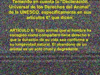 Teniendo en cuenta la “Declaración
 Universal de los Derechos del Animal”
 de la UNESCO, específicamente en sus
         artículos 6º que dicen:

• ARTÍCULO 6: Todo animal que el hombre ha
  escogido como compañero tiene derecho a
  que la duración de su vida sea conforme a
  su longevidad natural. El abandono de un
  animal es un acto cruel y degradante.
 