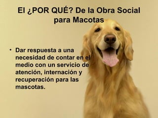 El ¿POR QUÉ? De la Obra Social
          para Macotas


• Dar respuesta a una
  necesidad de contar en el
  medio con un servicio de
  atención, internación y
  recuperación para las
  mascotas.
 