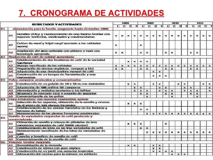 formato cronograma de actividades mensual